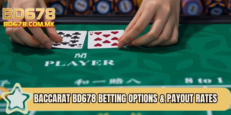 Baccarat BD678 betting options & payout rates