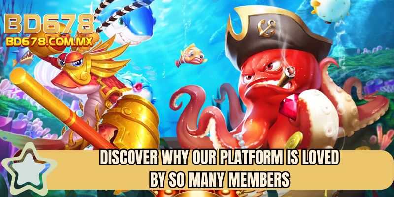 Discover why our platform is loved by so many members 